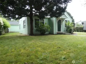 Trees around front of the house