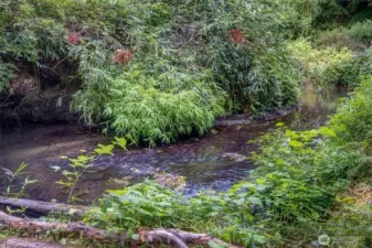 Thornton Creek