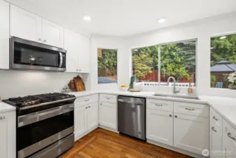 Kitchen has backyard view