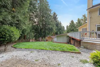 Back yard