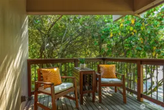 Charming patio off the dining room on the front side of the house.