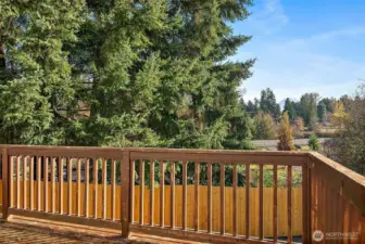 View of Mt. Rainier from the back deck