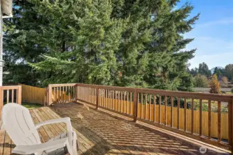 Large back deck