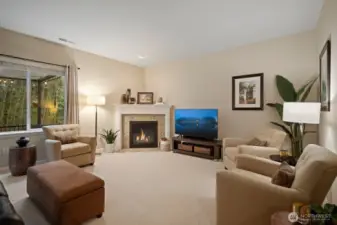 Great room features a granite surround gas fireplace.