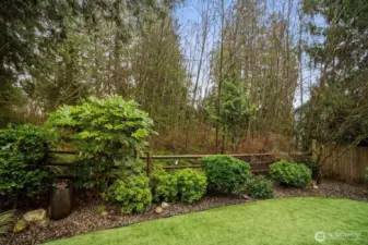 The serene greenbelt view for tranquil afternoon respites.