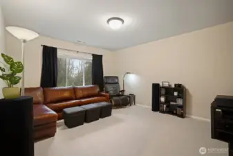 Bonus/media room with in-ceiling speakers.