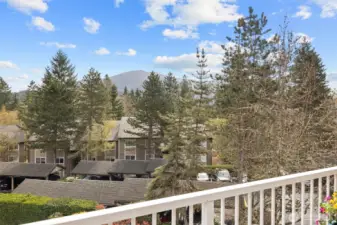 Views of Tiger Mountain from deck