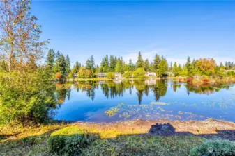 View of lake from your deck, frequently spotted with ducks & Canadian geese.