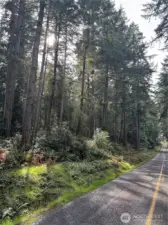Looking down the Street