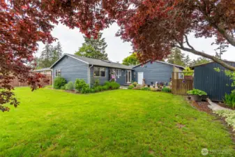Fully fenced in backyard.