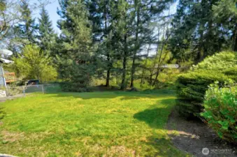Spacious backyard