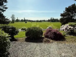 Beautiful views of farming land surround you~ cows, elk, deer, bald eagles!
