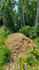 Wood chip pile noted on plat.