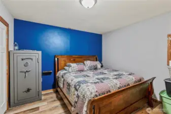 Bedroom #3 (Basement)