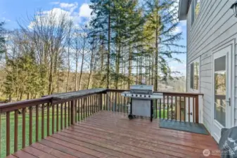 Deck Entrance from Kitchen/Dining Room (main level)