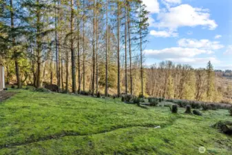 Gorgeous Land