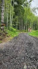 driveway up to cabins