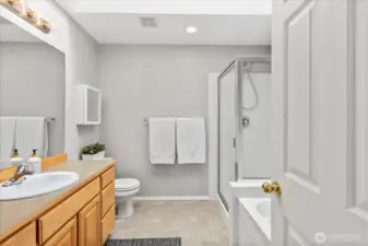 Primary Bath - 5 piece with Skylight