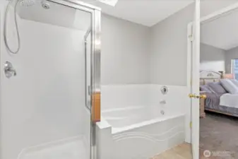 Primary Bath Soaking Tub & Shower. Great natural light in here thanks for to the skylight (new @ time of roof install)