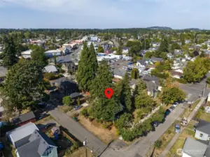Large lot with mature trees to provide shade and privacy.