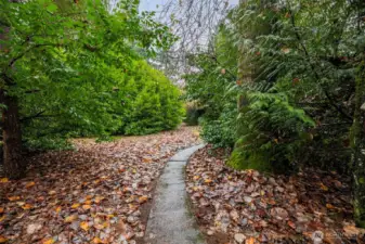 Sidewalk leading to the house