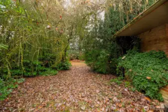 front of house looking toward field and well house