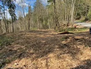 Nice level section in middle of property