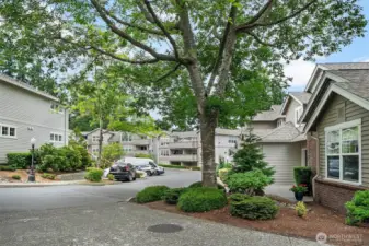 Overview of the Montclair Condominiums in Edmonds, WA’s desirable “5 Corners” neighborhood
