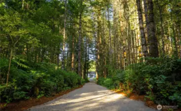 The gracious entry to the property, the home and structures are set back from the road.