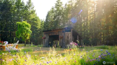 Looking over the meadow to the wood shed and the fire pit area to the left.