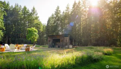 Beautiful light travels across the property throughout the day.