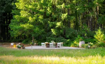 Outdoor dining area just beneath the trees, over looking the meadow.