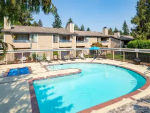 Community Pool