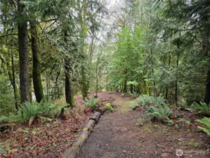 trail to cleared flat area