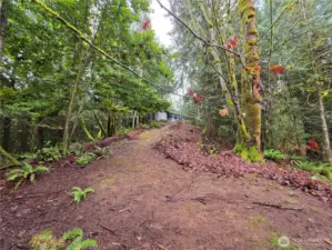 view up from flat area below RVs