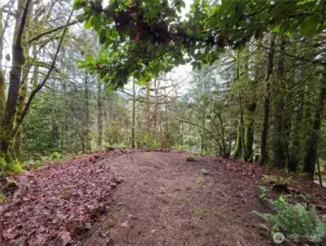 flat area for tiny home, small cabin or camping