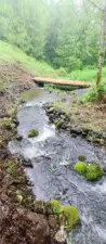 Creek 1