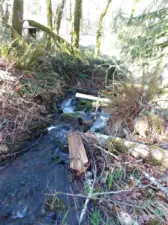 Creek flows pretty good.