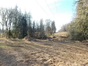 Big cleared area looking towards the creek. Great pasture area or for septic system under the power lines.