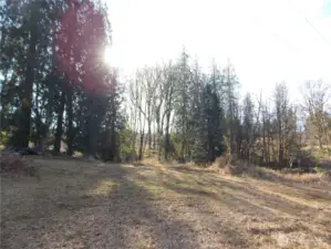 Clearing to the east