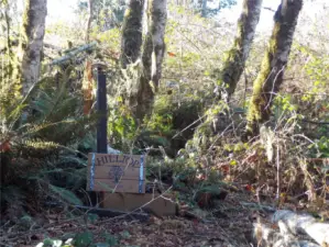 Other side of the creek