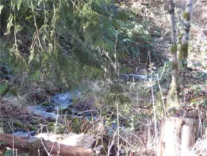 Along the creel at the back looks like a little bowl area