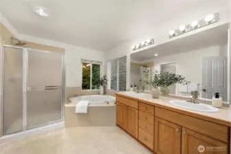 Luxurious five-piece primary bathroom.