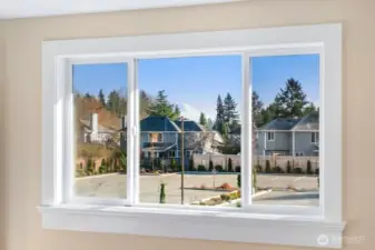 Beautiful View of Mount Rainer from primary