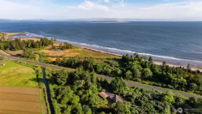 Find treasures on the beach