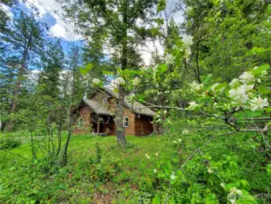 Beautiful setting in community of Liberty Woodlands. 6 miles to Winthrop. 5 miles to Mazama.  Tons of trails to hike, bike, run nearby.
