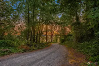 Driveway to property.