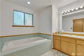 Primary Bathroom Soaking Tub