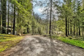 Driveway