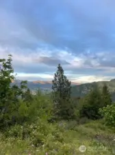 PNW Beauty